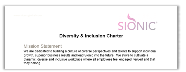 Diversity & Inclusion charter preview
