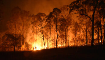 Australia bush fire image