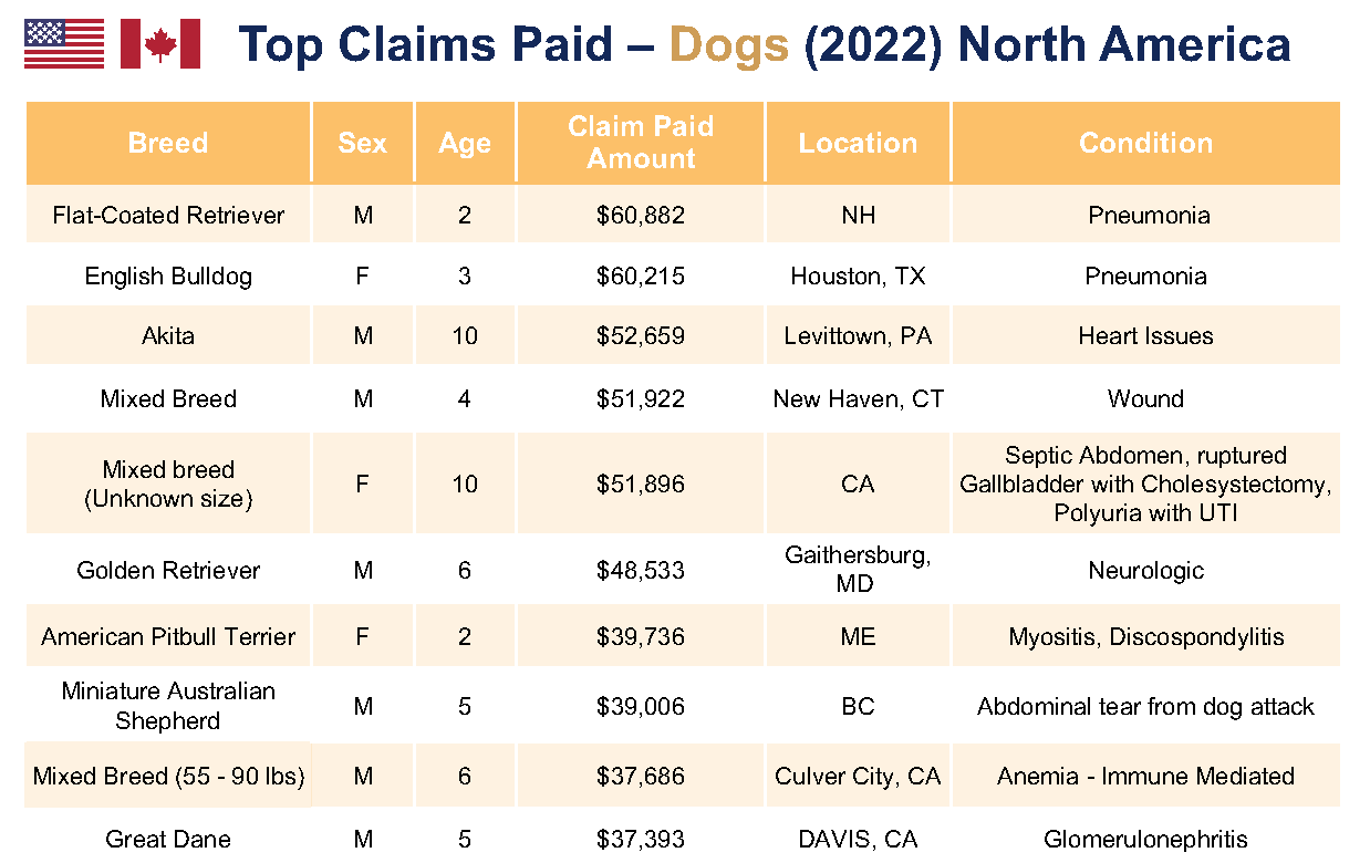 Top Dog Claims