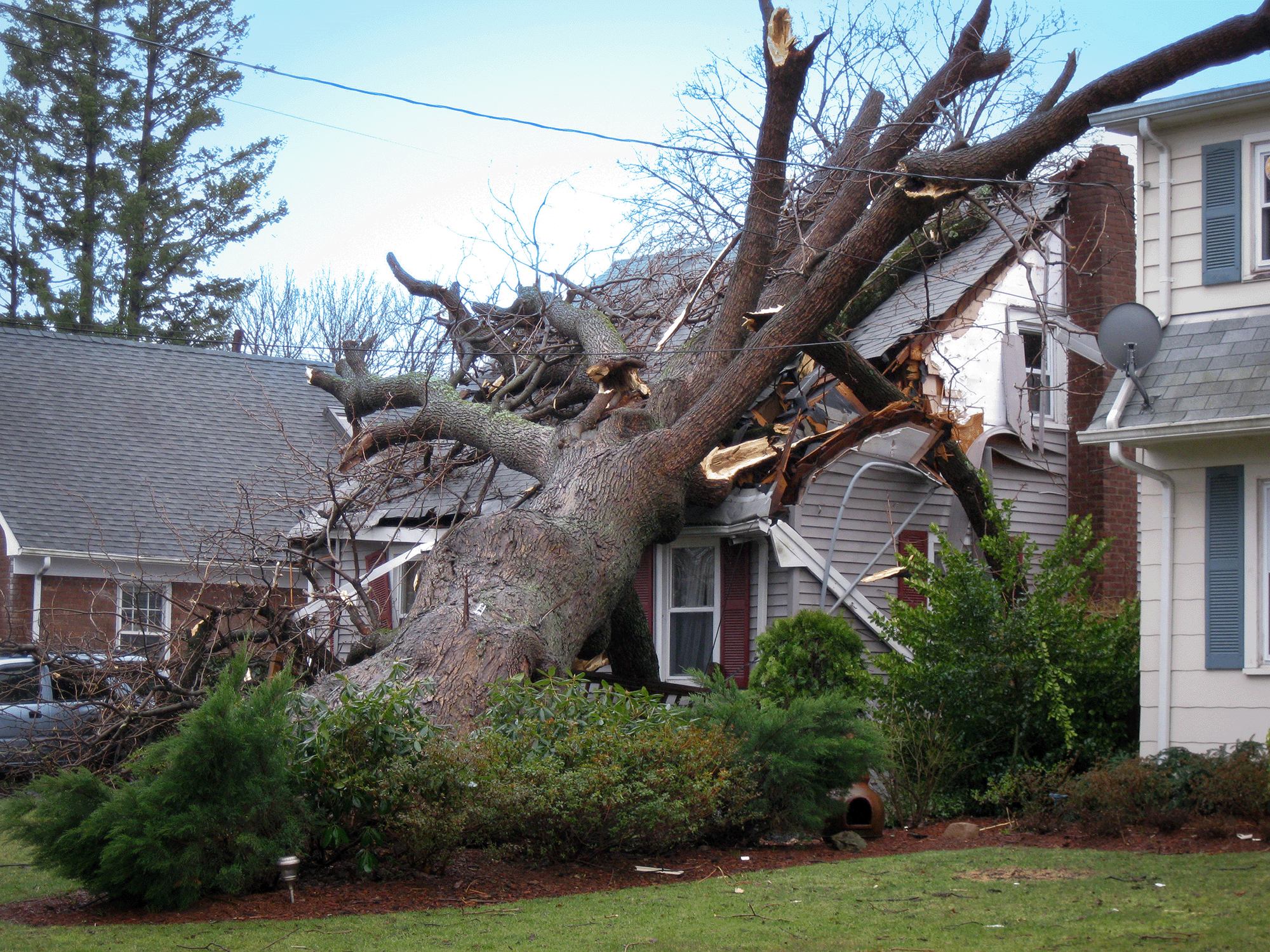 Property Damage from tree fallen on house