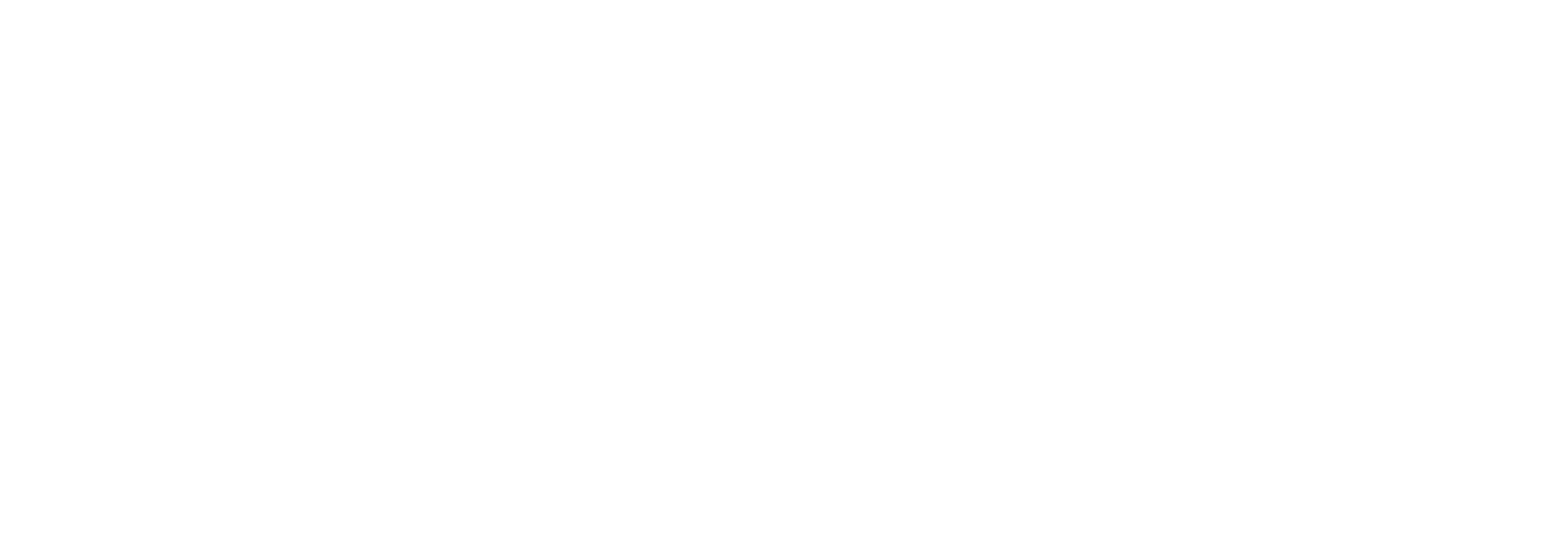 Davies Foundation